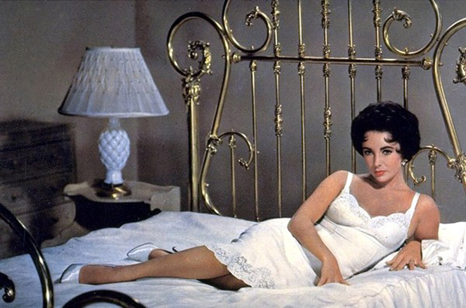 Cat on a Hot Tin Roof 2