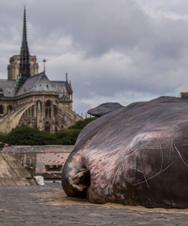 whale-sculpture-captain-boomer-collective-6